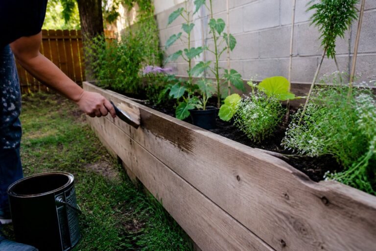 The Backyard Transformation That Cost $200 — Stunning DIY Makeover Ideas